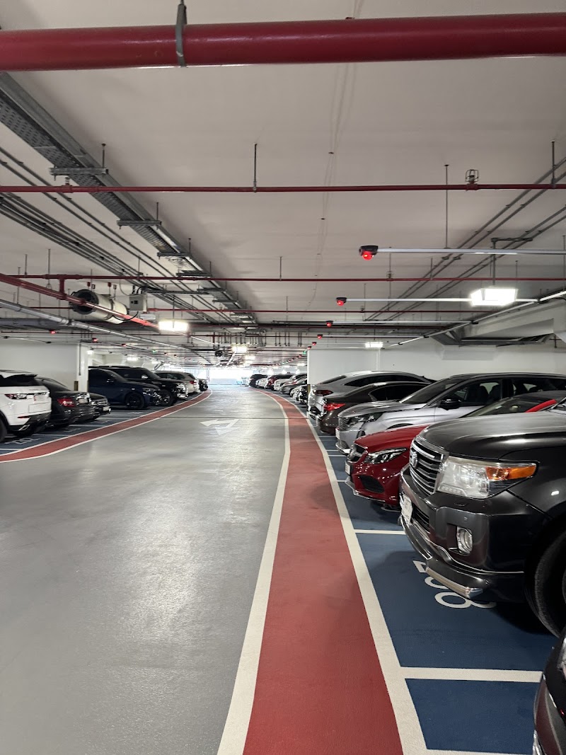 تصویر شماره 6