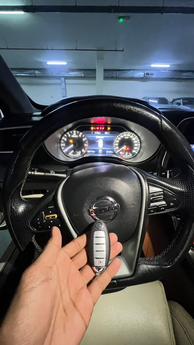 تصویر شماره 4