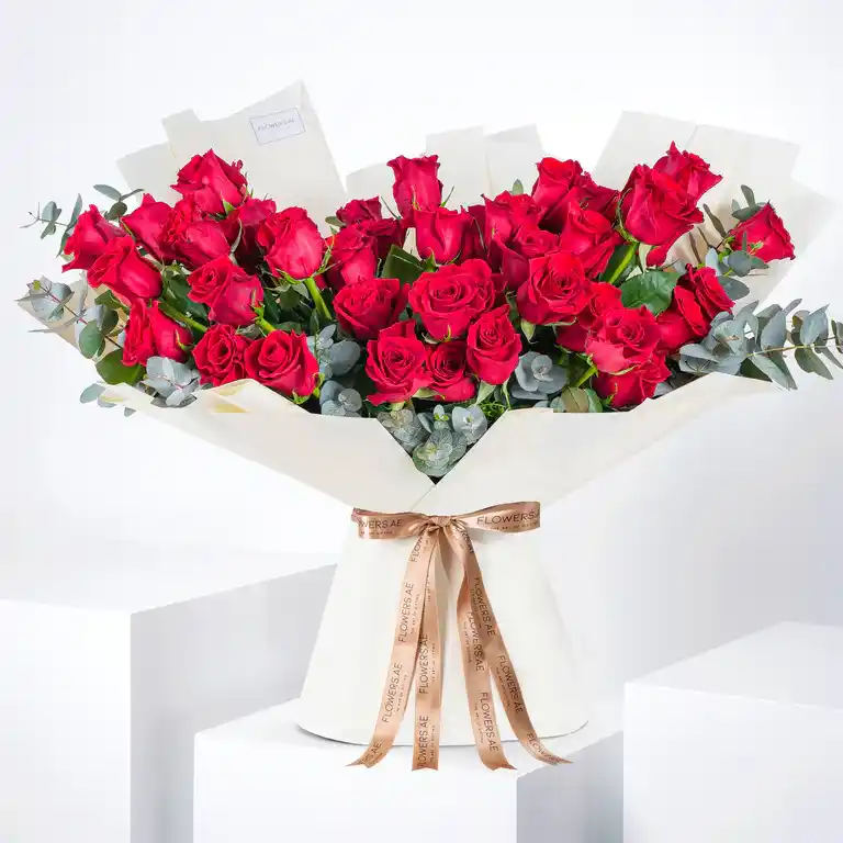 تصویر شماره 4