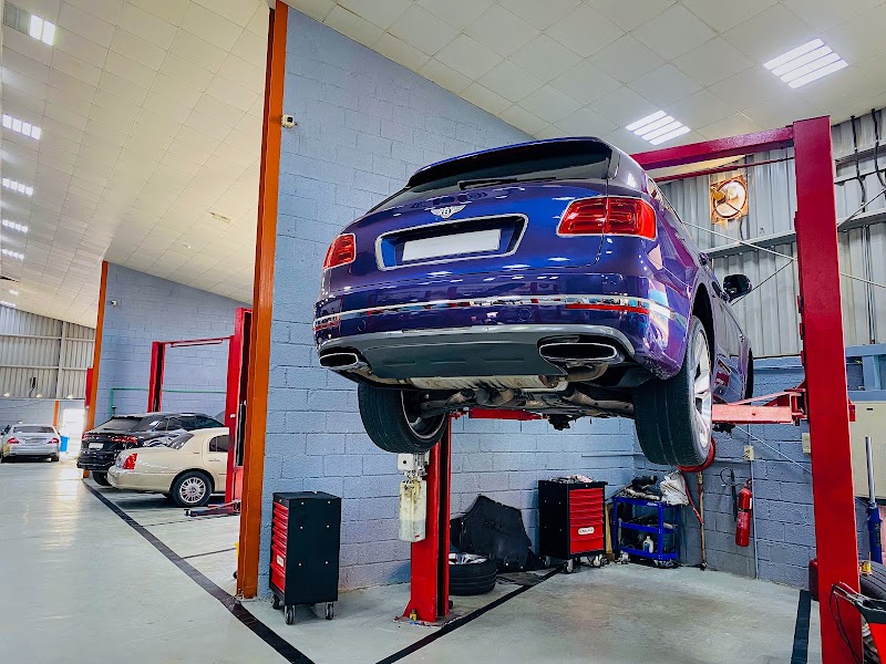 تصویر شماره 3