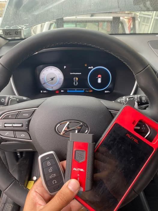 تصویر شماره 8