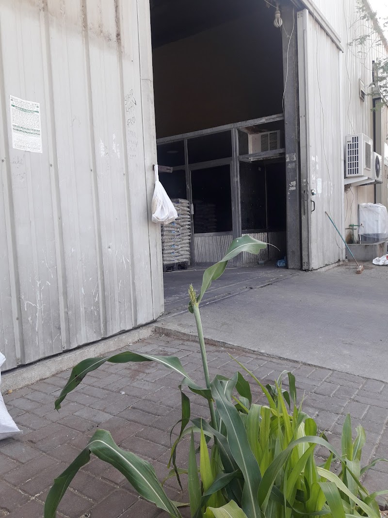 تصویر شماره 2