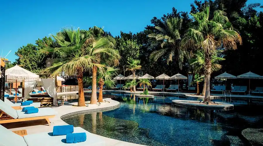 تصویر شماره 2