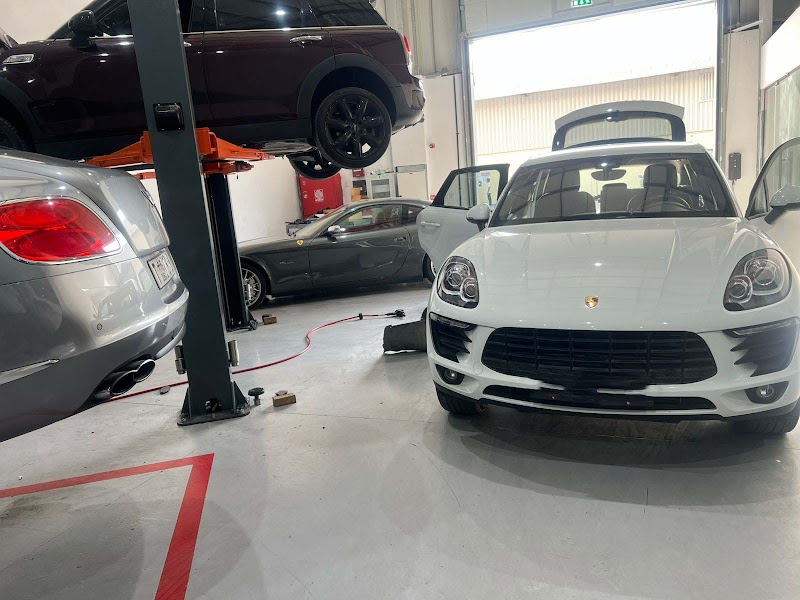 تصویر شماره 8