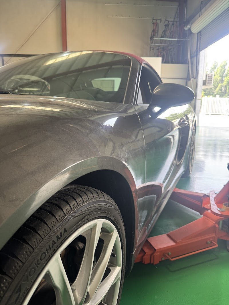 تصویر شماره 8