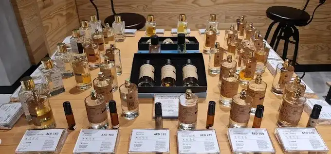 تصویر شماره 4