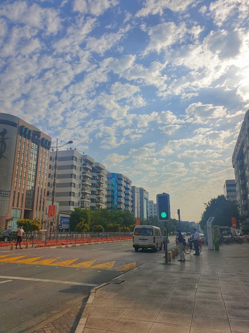 تصویر شماره 8