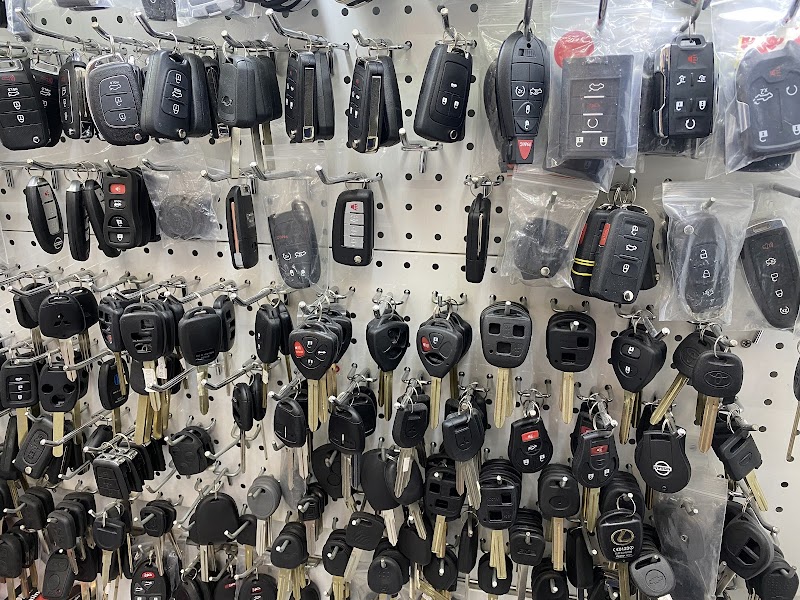 تصویر شماره 5