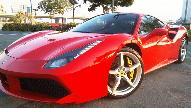 تصویر شماره 7