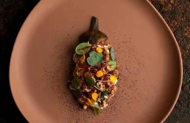 تصویر شماره 2