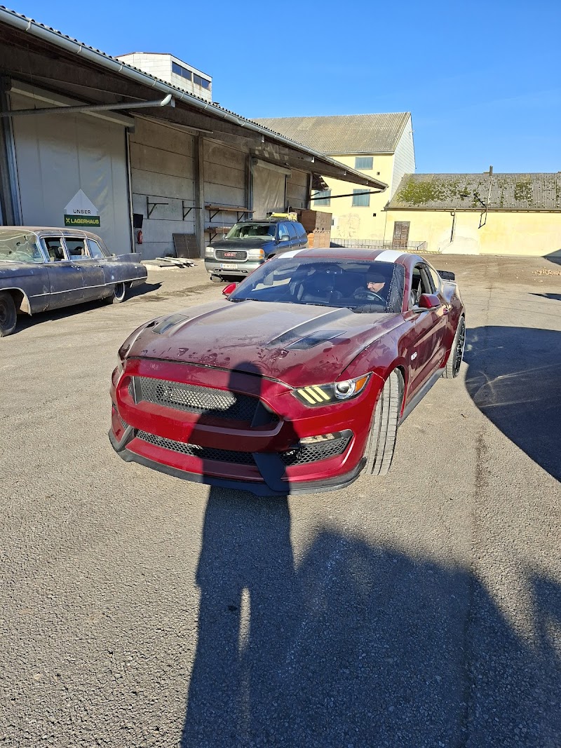 تصویر شماره 2