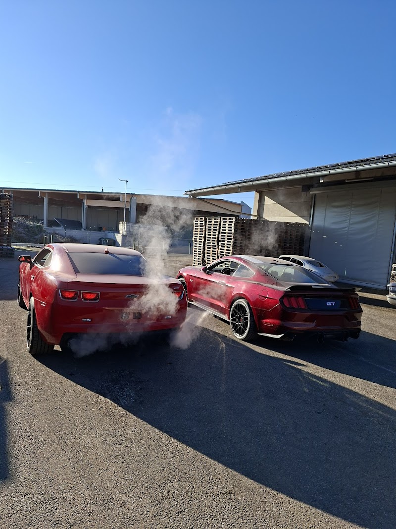 تصویر شماره 4