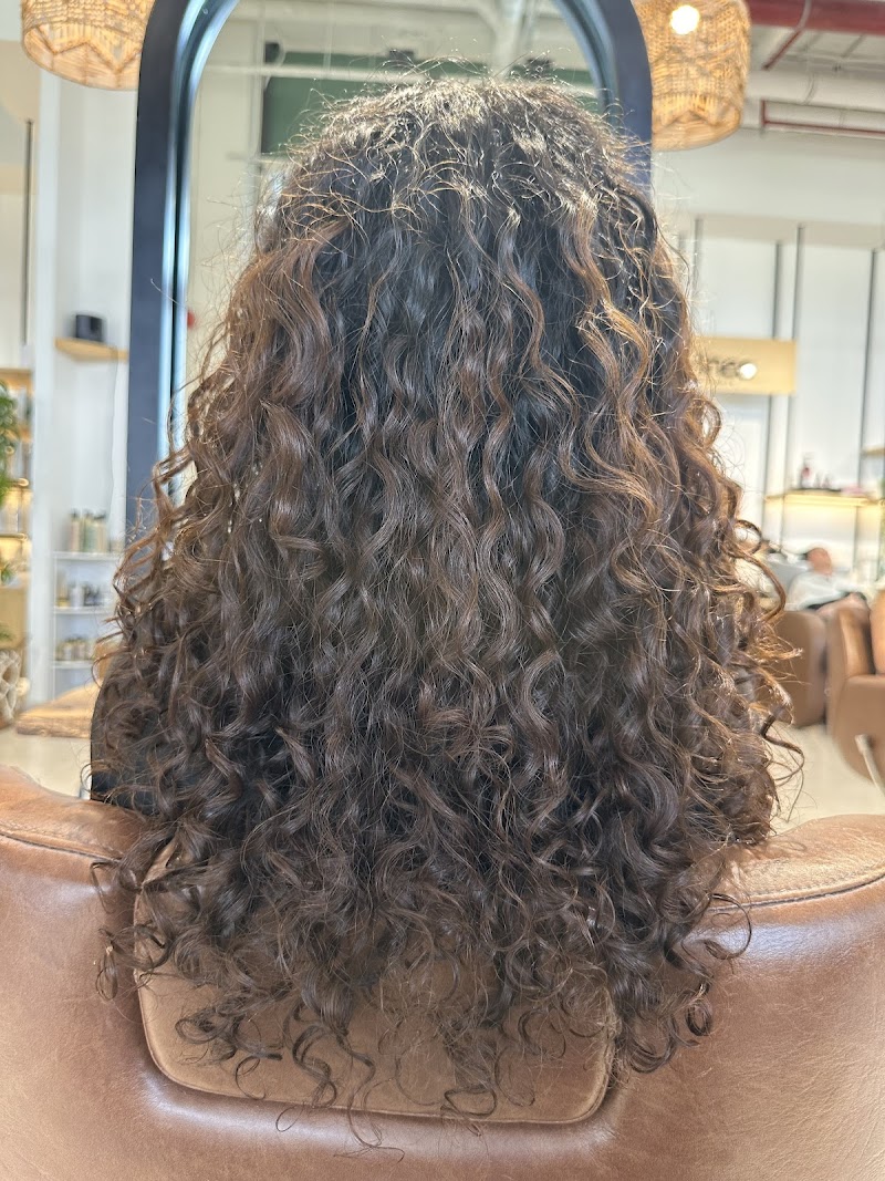 تصویر شماره 2