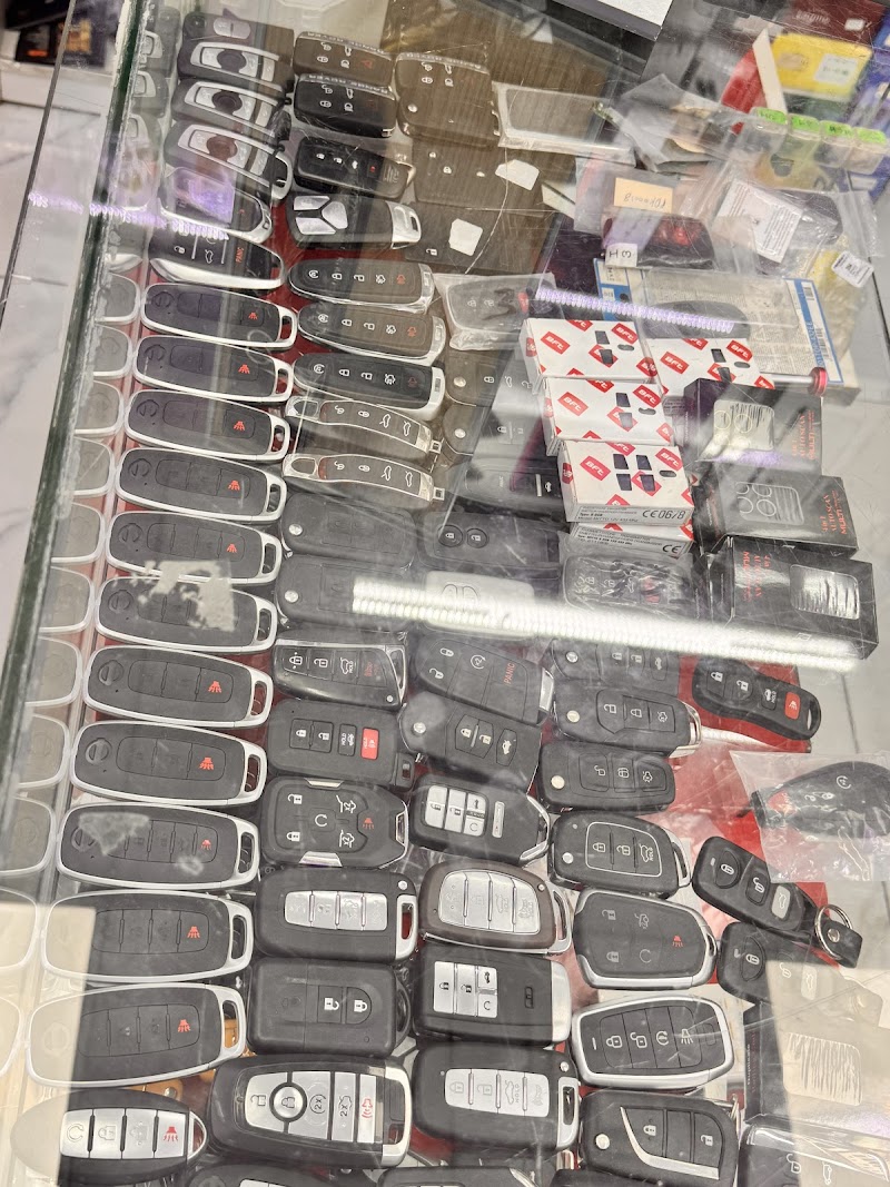 تصویر شماره 5