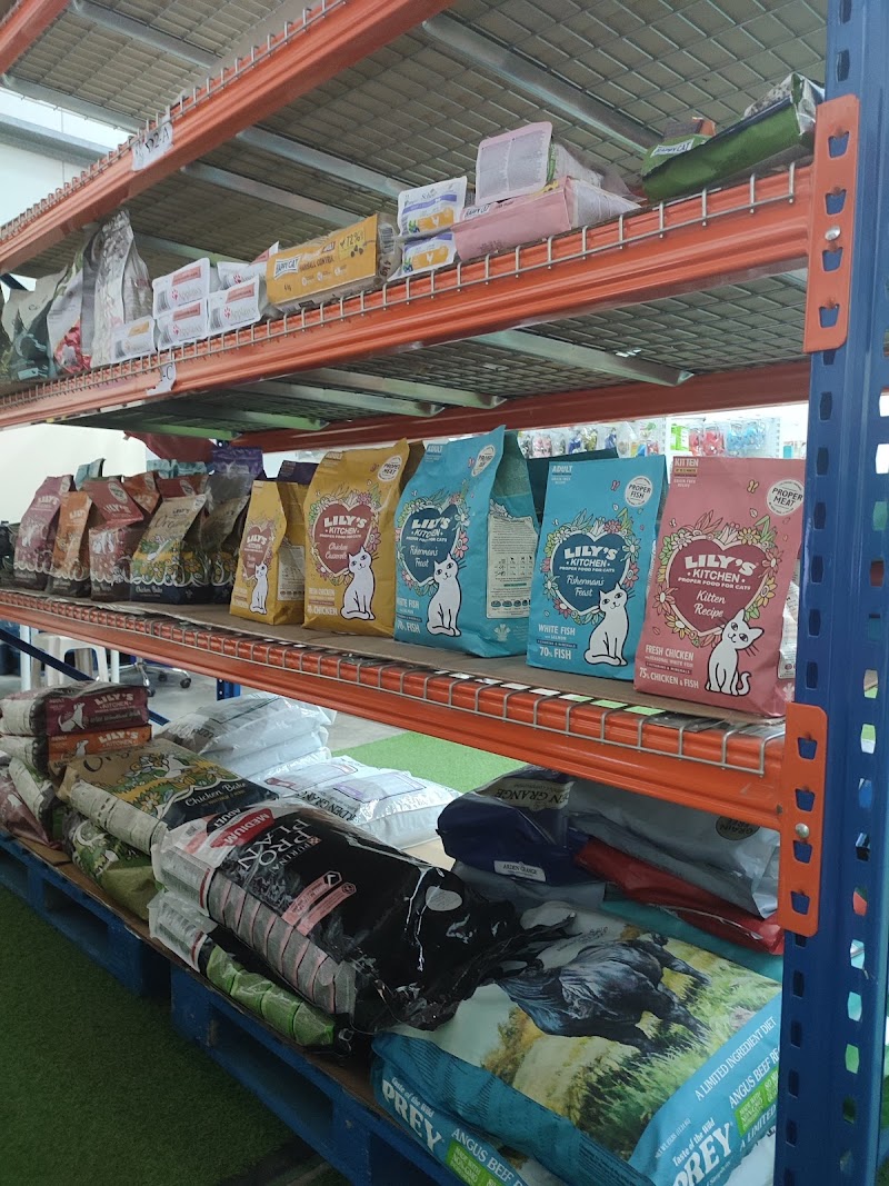 تصویر شماره 1