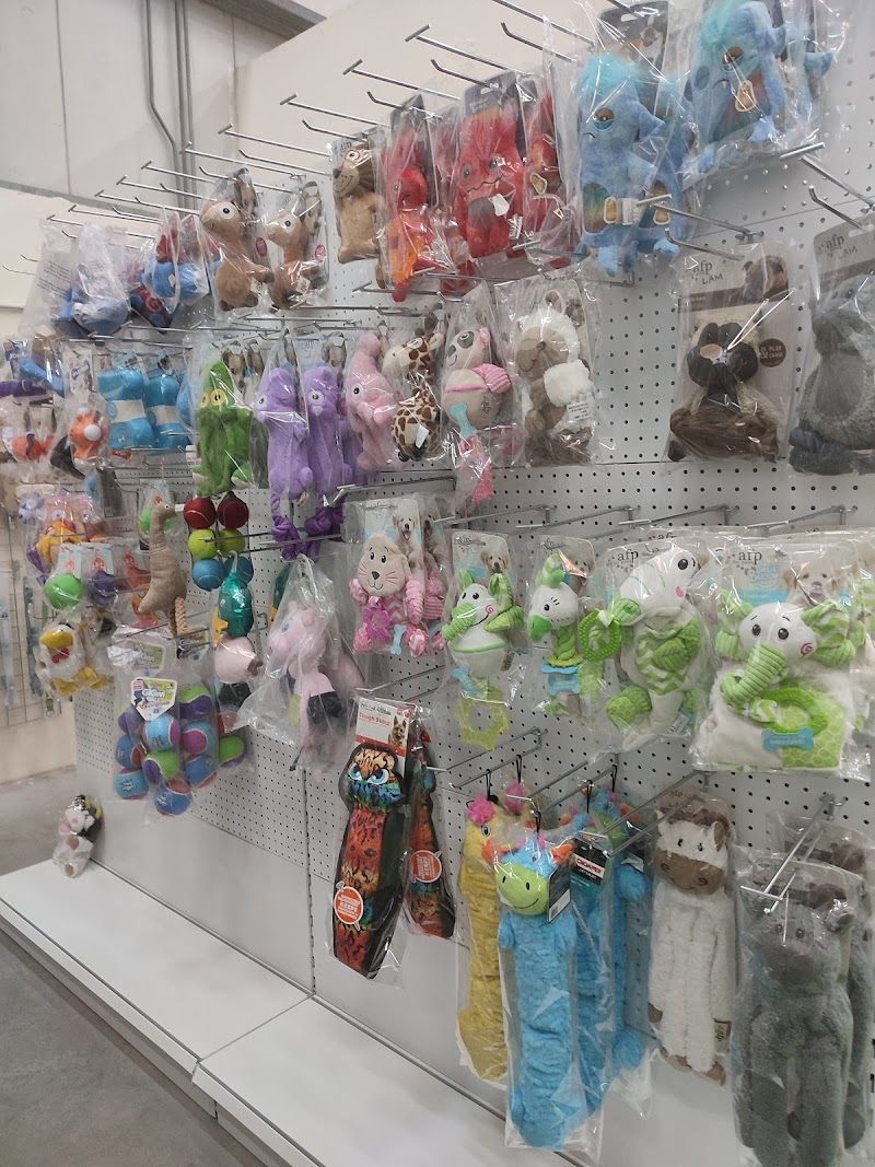 تصویر شماره 3