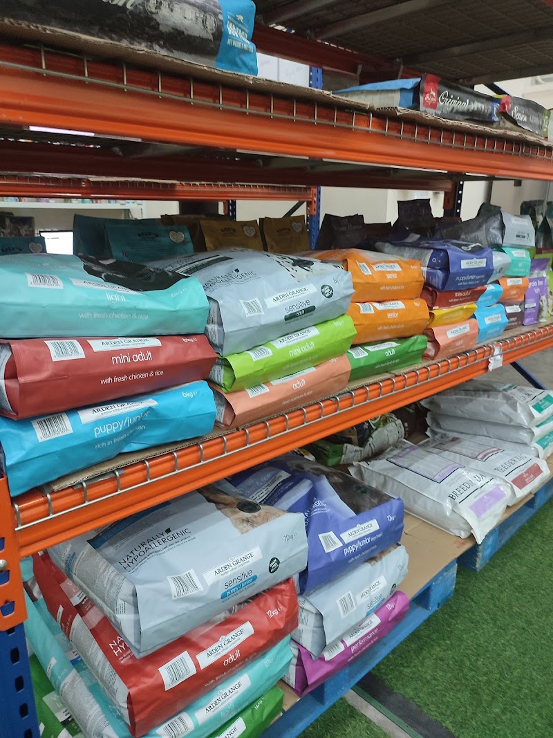 تصویر شماره 8