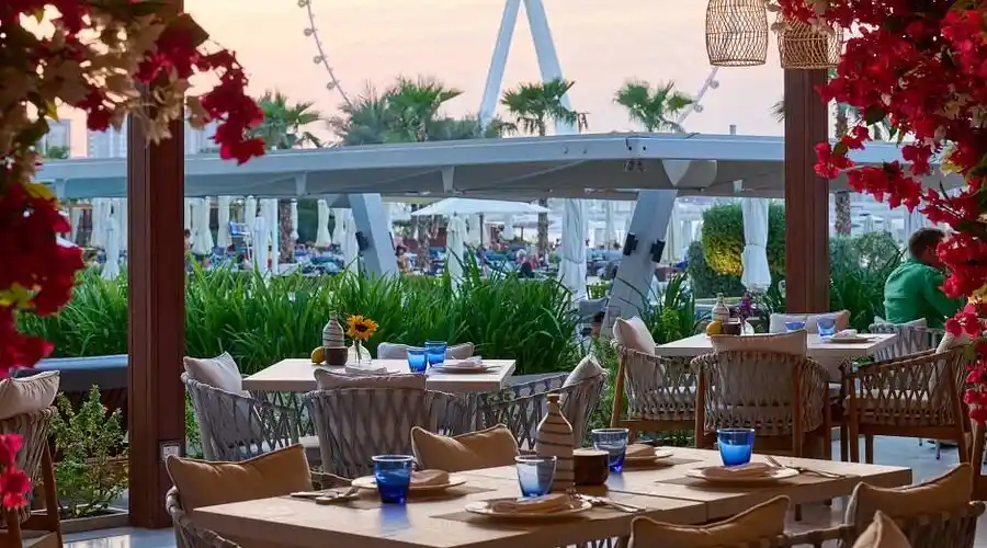 تصویر شماره 1