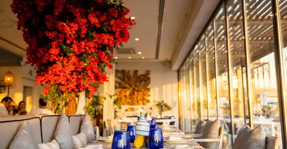 تصویر شماره 4