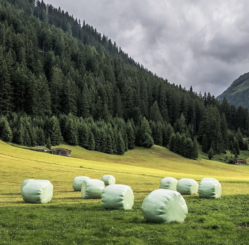 تصویر شماره 2