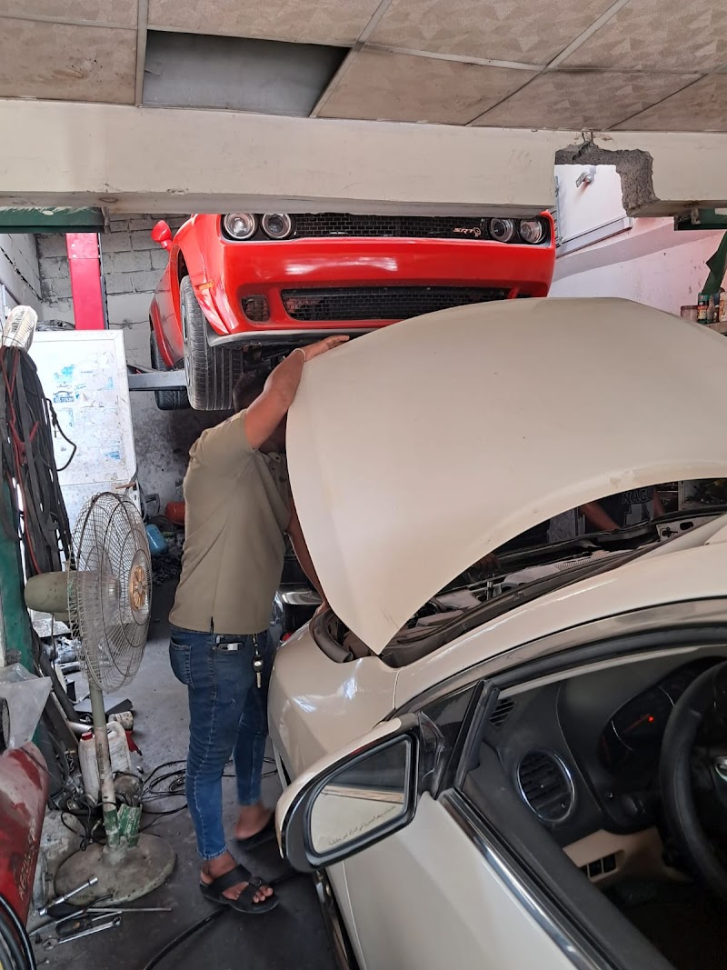 تصویر شماره 2