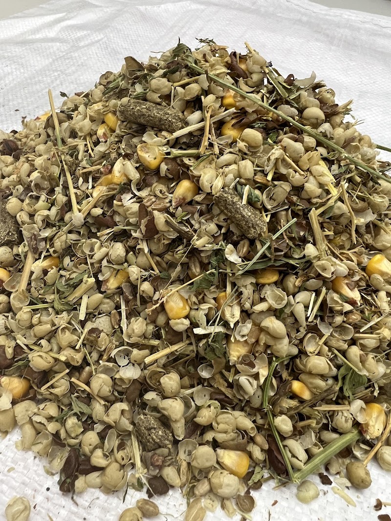 تصویر شماره 3