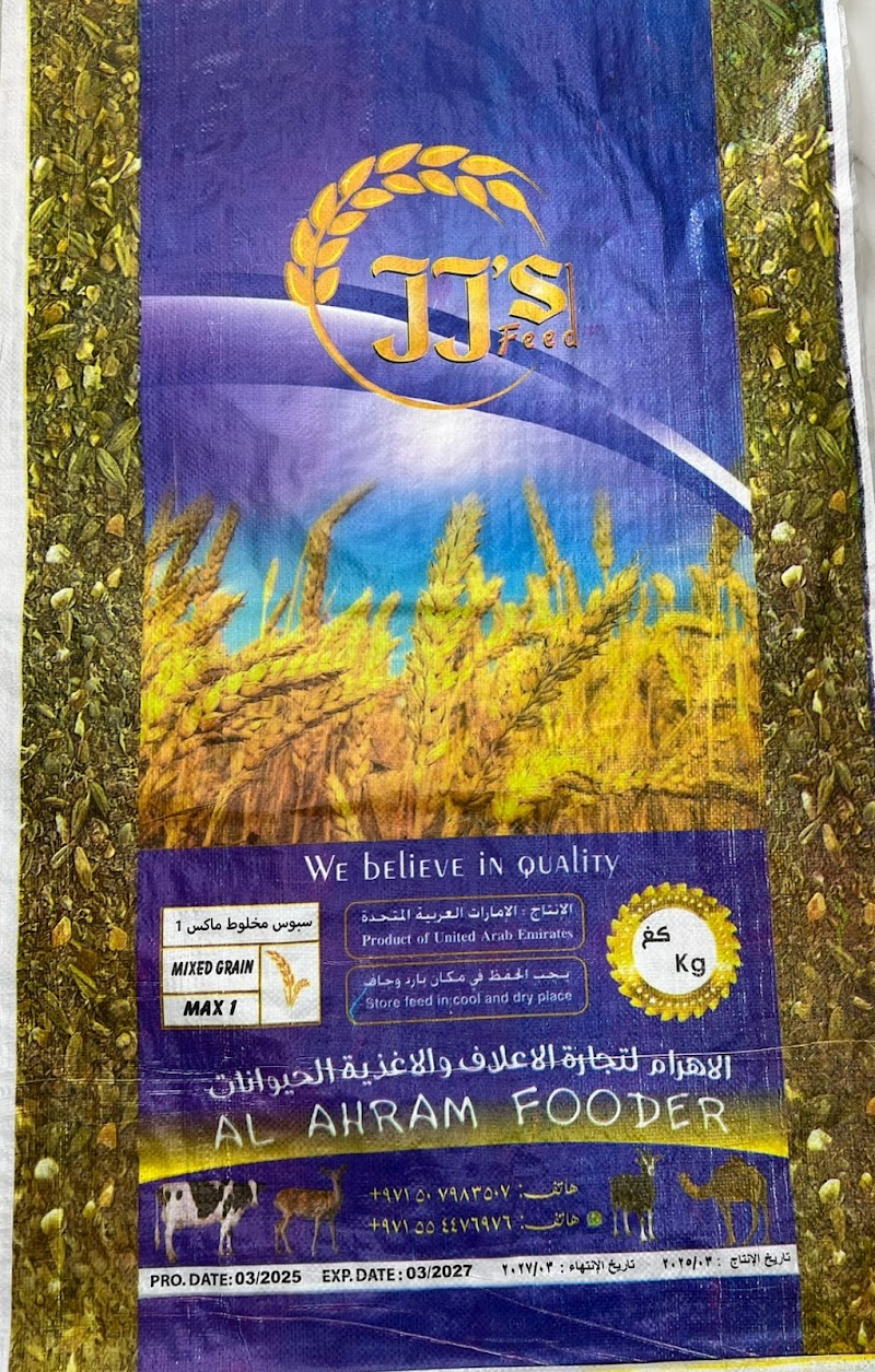 تصویر شماره 4