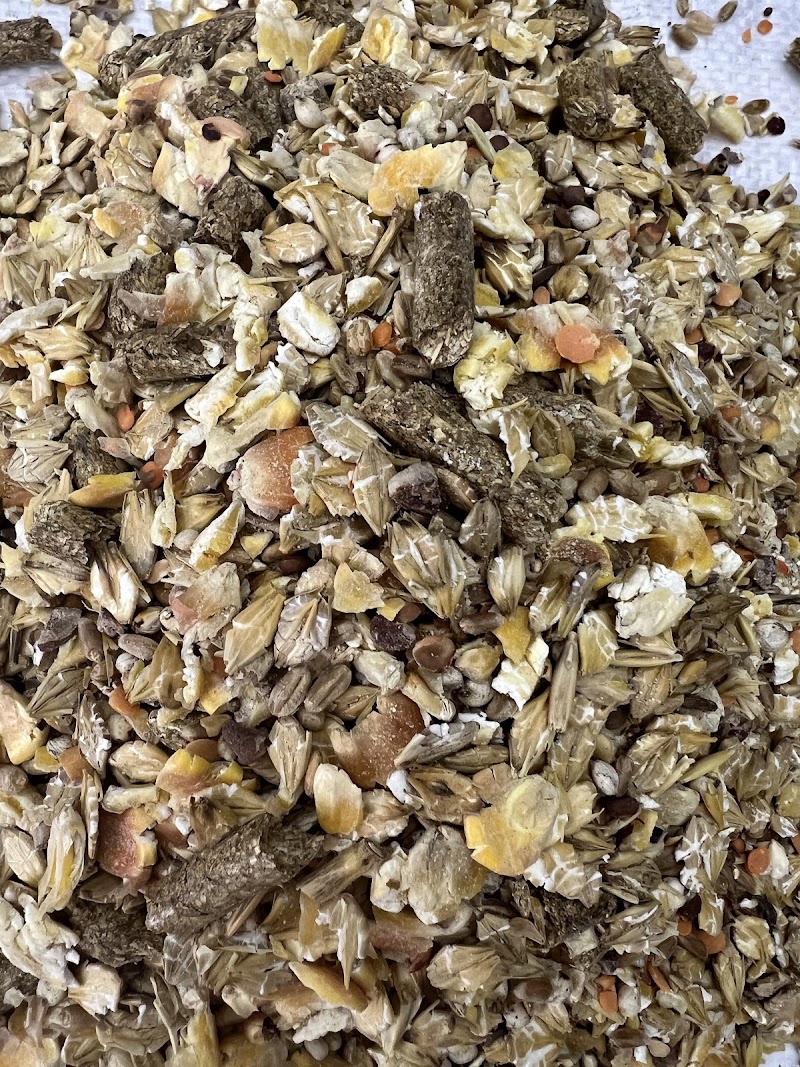 تصویر شماره 5