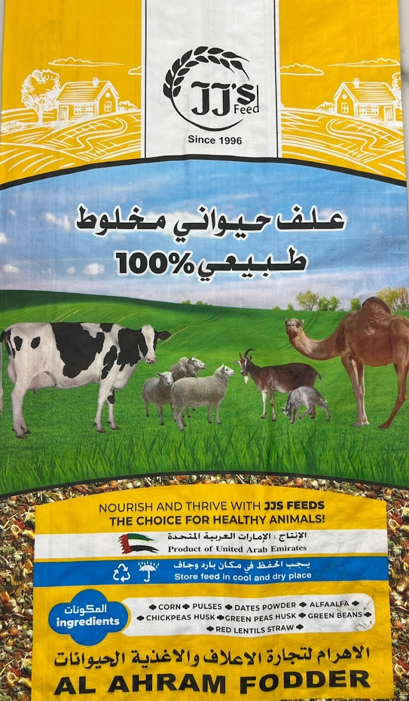 تصویر شماره 6