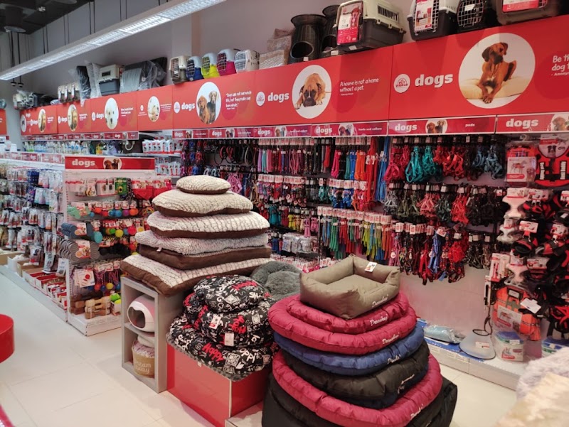 تصویر شماره 9