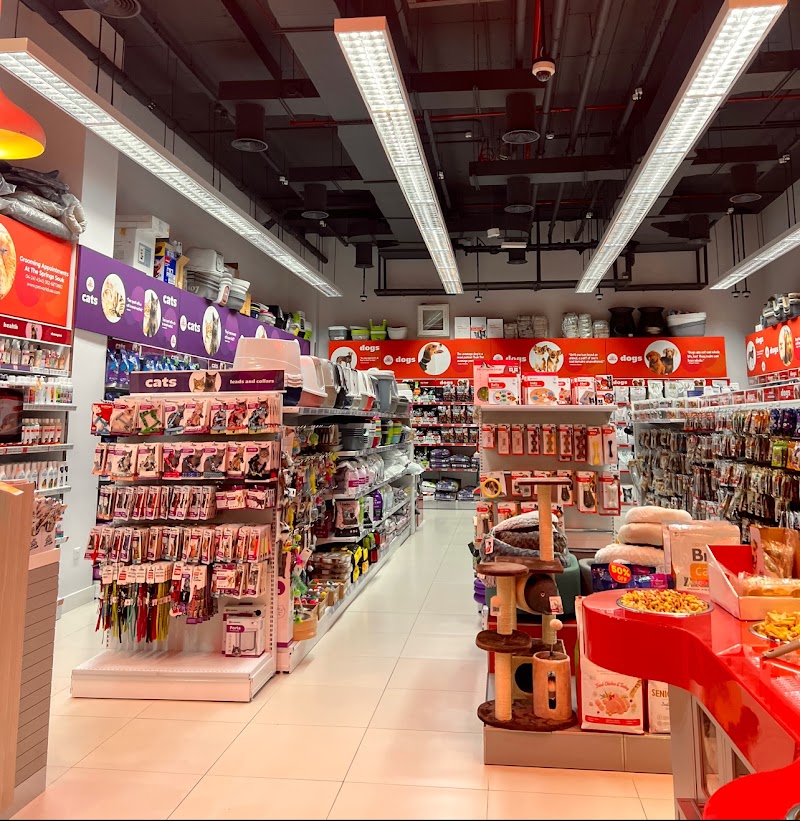 تصویر شماره 2