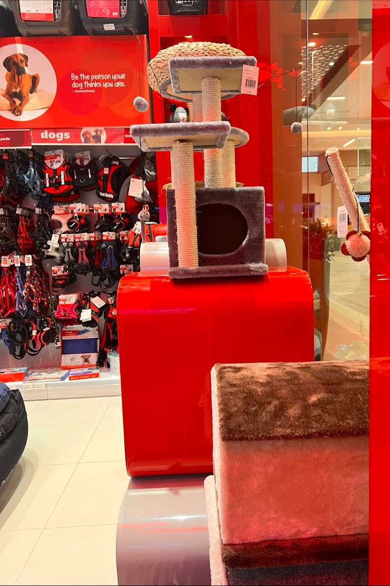 تصویر شماره 3