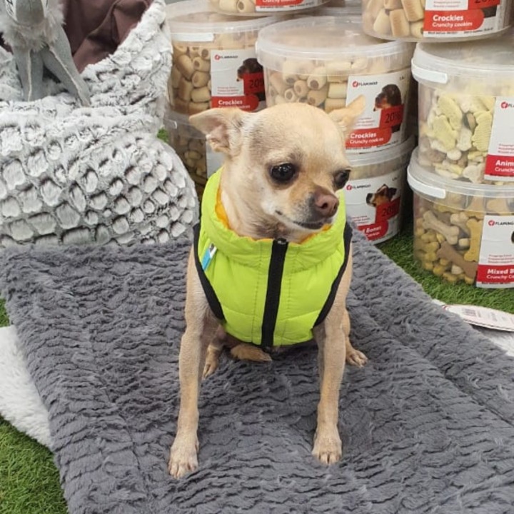 تصویر شماره 4