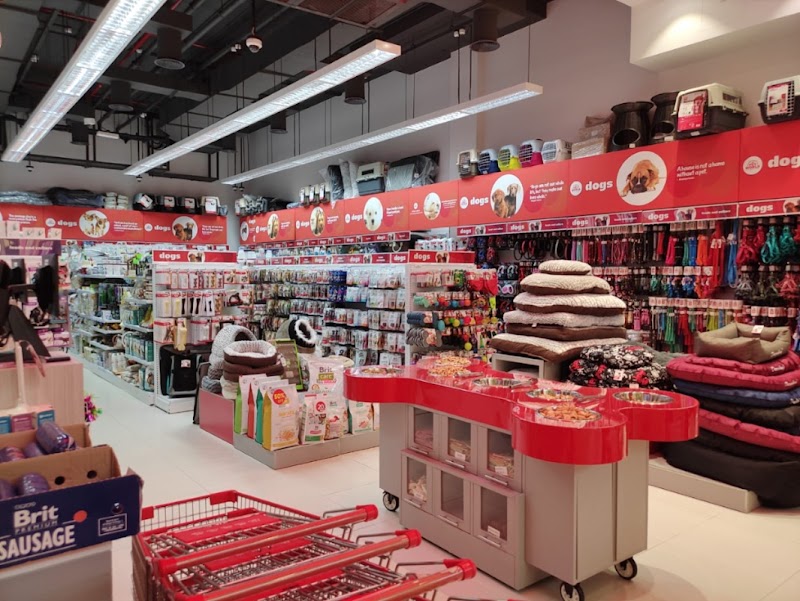 تصویر شماره 5