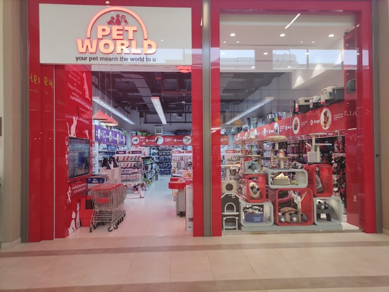 تصویر شماره 6