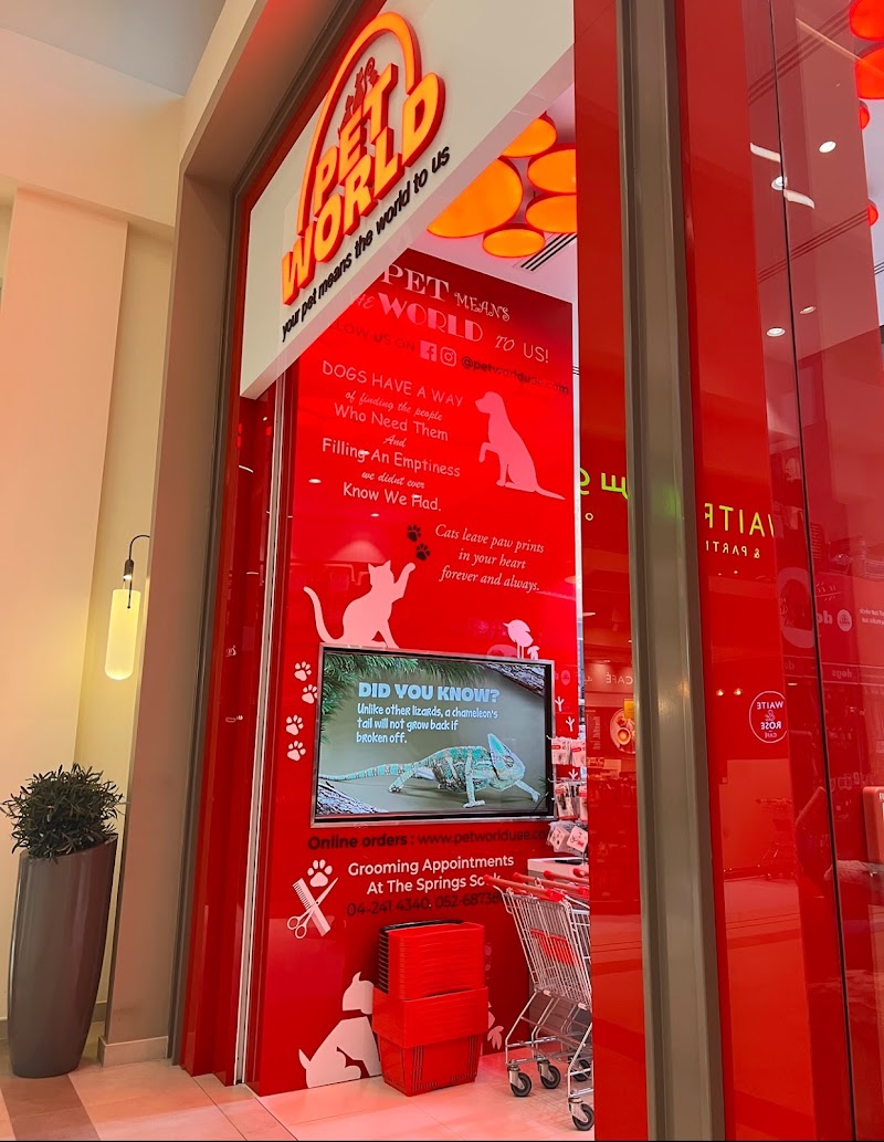 تصویر شماره 7