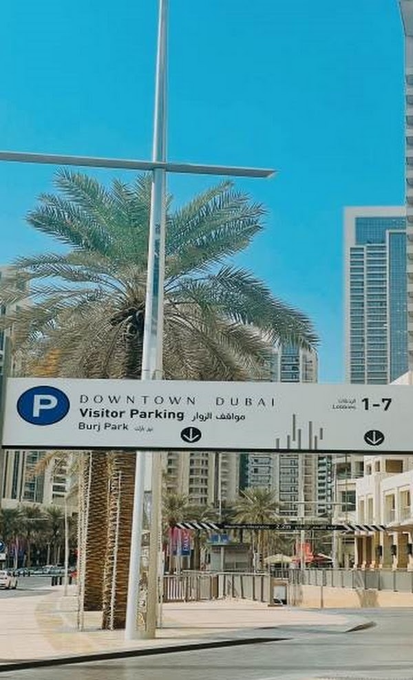 تصویر شماره 6