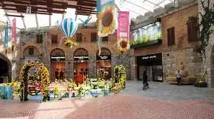 تصویر شماره 2