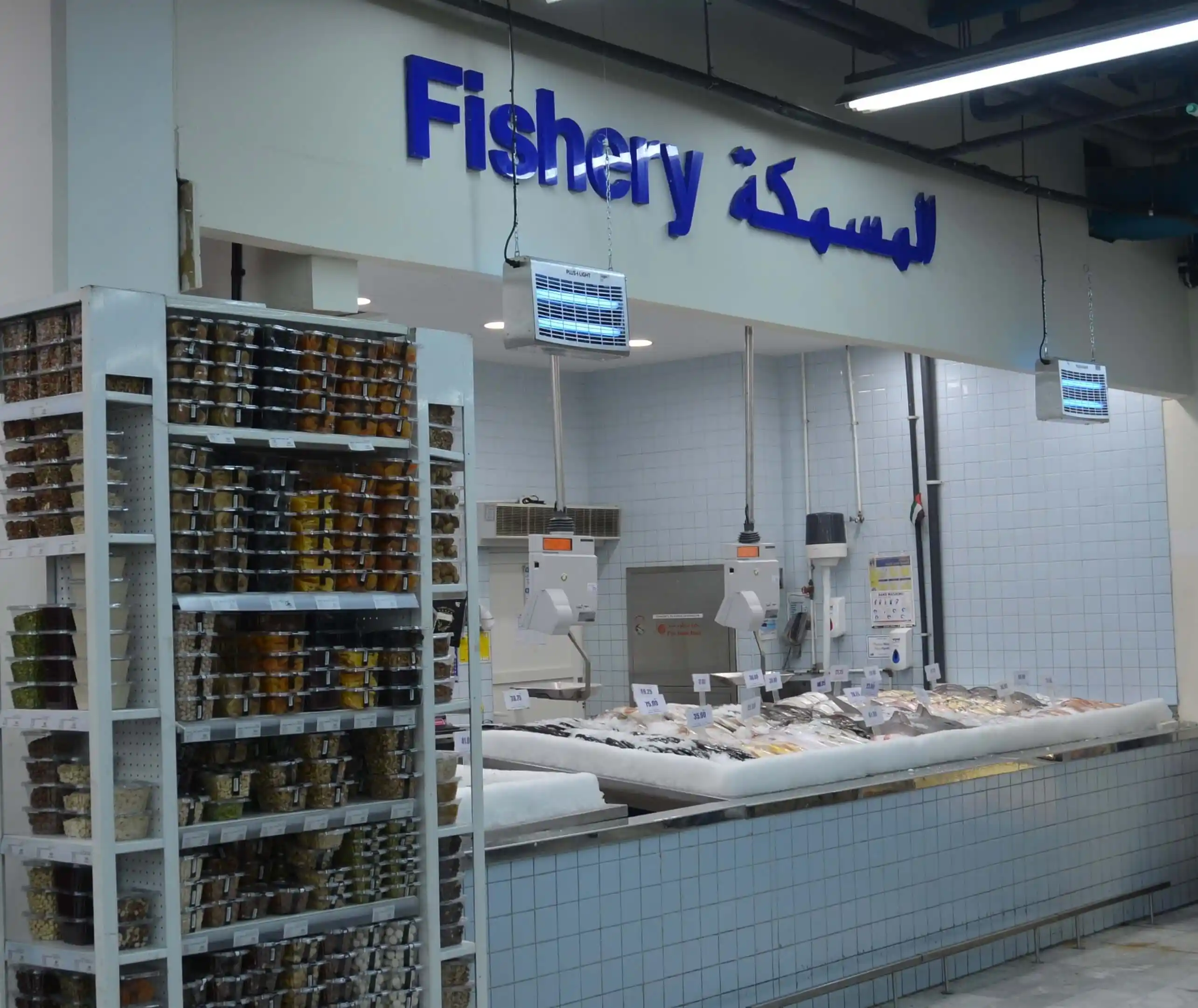 تصویر شماره 3