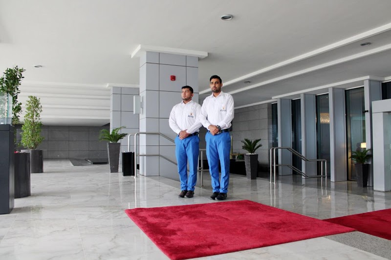 تصویر شماره 8