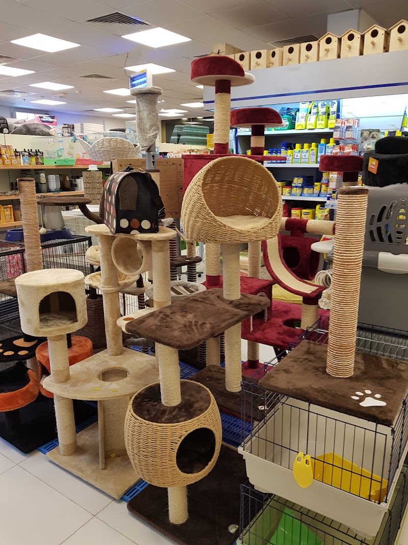 تصویر شماره 9