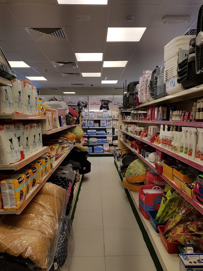 تصویر شماره 1