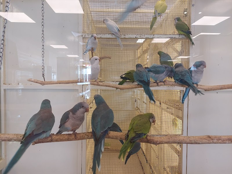 تصویر شماره 2