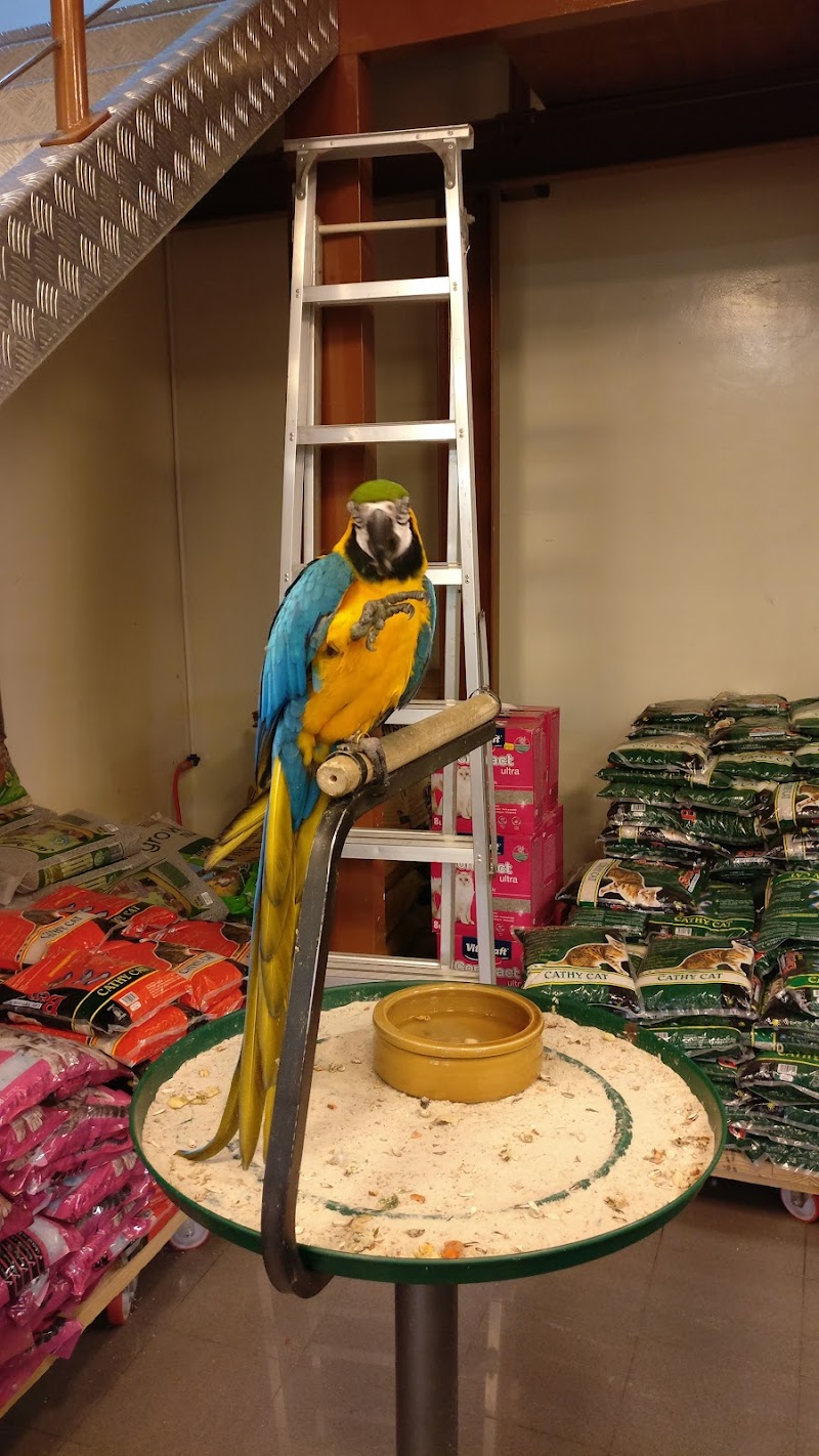 تصویر شماره 3