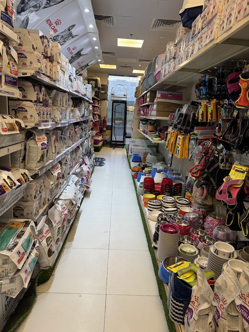 تصویر شماره 4