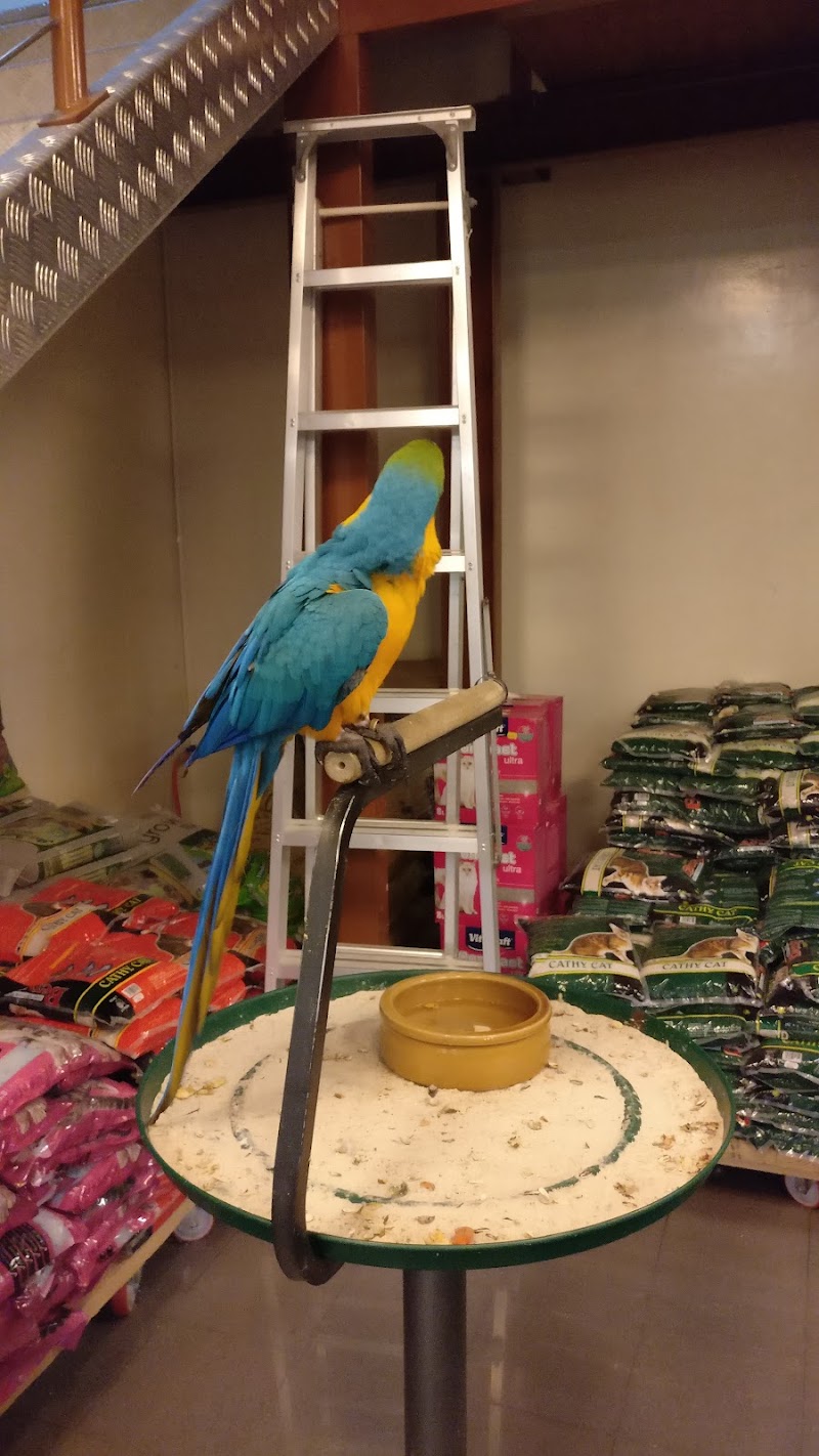 تصویر شماره 6