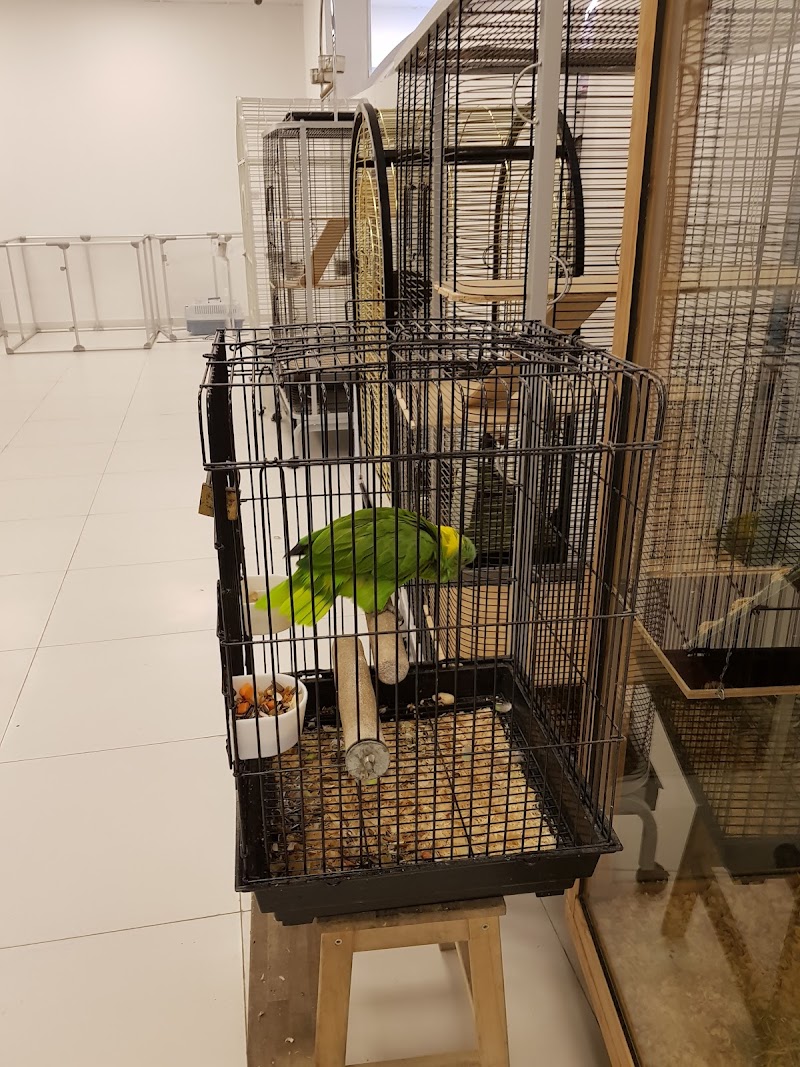 تصویر شماره 8