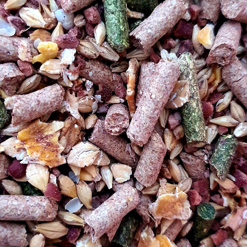 تصویر شماره 1