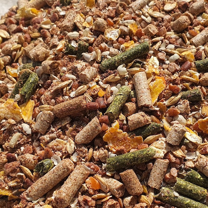 تصویر شماره 3