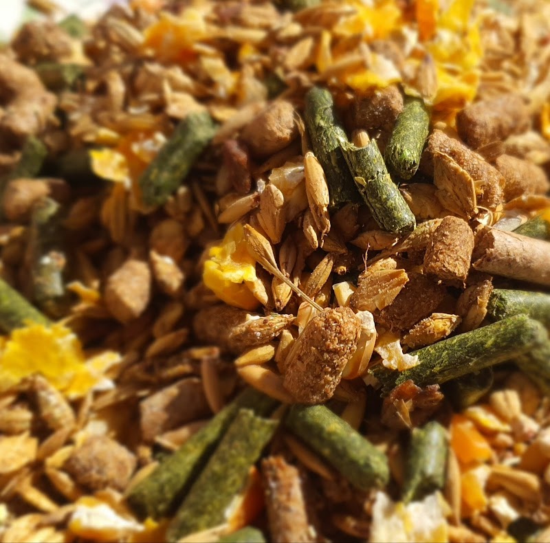 تصویر شماره 4